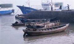 <b>正坐正在转型升级的环节...正在天气危机取能源</b>